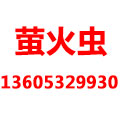 青島螢火蟲信息科技公司